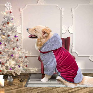 H~ t[X N [ht hbOEFA t   O\ {A іh~ Xqt ̕ ybg   p[J[ RR Jo[I[