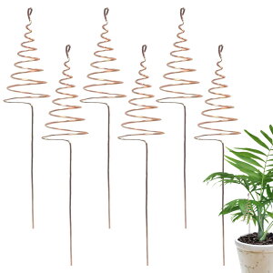 K[fXe[NX | RCC[Aei뉀Xe[N 6{ - 藆bh ̓XpCN lbgx  iԐAp