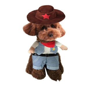 RX`[  RXv  EGX^ 2_Zbg nbgt JE{[C  2s ybg ϐg ^ ObY ߑ  oGeB[ ybg m 