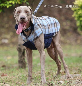 ybg gWPbg ~ hbOEGA //^ hpbh gWPbg ʒp  ۉ h Uo NX}X VN a  ȓ іh~ 