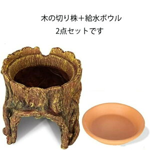 ঒ VF^[ B EFbgVF^[ ؂̌ A    ێ nCh{bNX ޗpi