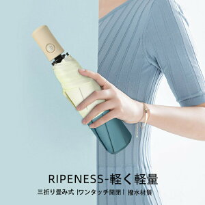 y P ܂肽ݎP J 傫 ܂ݎP Jp jp 킢 ^b`J P 8{ HP SՌ ܂肽ݎP fB[X Y  ϋ