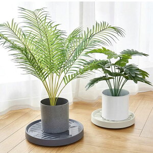 Aؔ tړԑ  u t[X^h u LX^[ v^[pM g[ v[g 360°]LX^[t  |bN ړ֗ ϗt