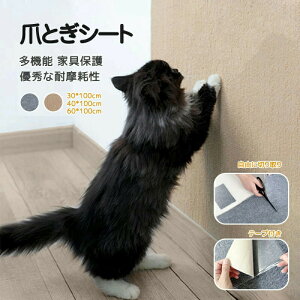 L ܂Ƃ V[g 唻 Lp ߂ƂlR ܂Ƃ }bg ߂ƂV[g ܌ XgX \t@[  Ƌی ǎیV[g ܂Ƃh~ h~ ybgpi Lpi ybgp 