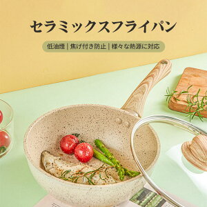 tCp IH&KXΑΉ  20-30cm  Ă tCp Ў tCp uߓ }[uR[g ƂȂ x[W