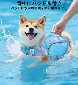  CtWPbg p hbO ybg nhtxnS S  ^ ^ S -XL V v[ C V ~ ybgg[i[K~