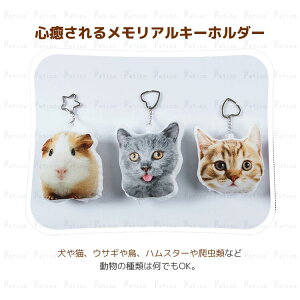 ybg I[_[Ch L[z_[ ʈ ybg{ L[z_[ʐ^ LOi IWi ybg L[ z_[ A ~jNbV ʐ^ ʂ ObY ObY  L 