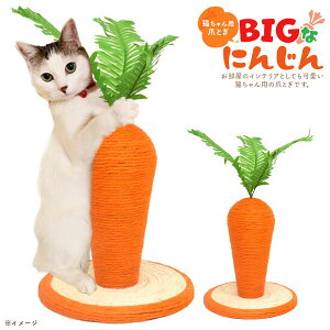 L ߂Ƃ BIGɂ񂶂 ܂Ƃ ܌ Lp܂Ƃ Lbg XNb` CeA ^sP ₵ lR  Lpi ȃXy[X 