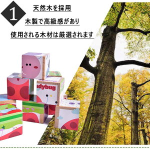 L[upY 3D̃pY ؐ ςݖ Aj} 9R} q mߋ  蕨 Cm `킹 ؂̂ j̎q ̎q  1 2 3 4 5 6 Ԃ xr[ oYj