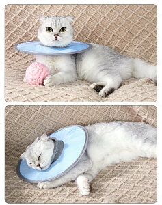 GUxXJ[ ybg  L \tg y p ی rߖh~ ^ ~h~  pEFA  L \ \tg ^ ^  ی NbVJ[ 񂿂