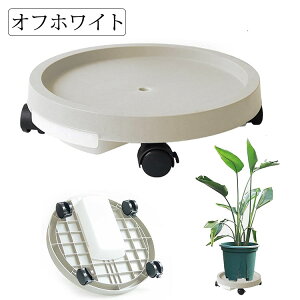  Aؔ tړԑ  u t[X^h u LX^[ 󂯎Mt 360°]̃LX^[ bN\ Xgbp[t ړ֗ ϗtA  u 