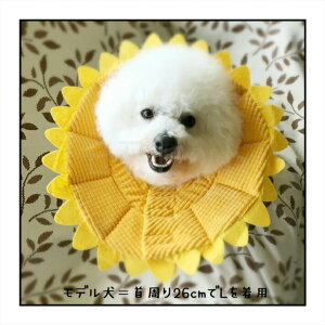 Q鎞SЂ܂SML^Lp pi rߑrߖh~  q} AEgbgi