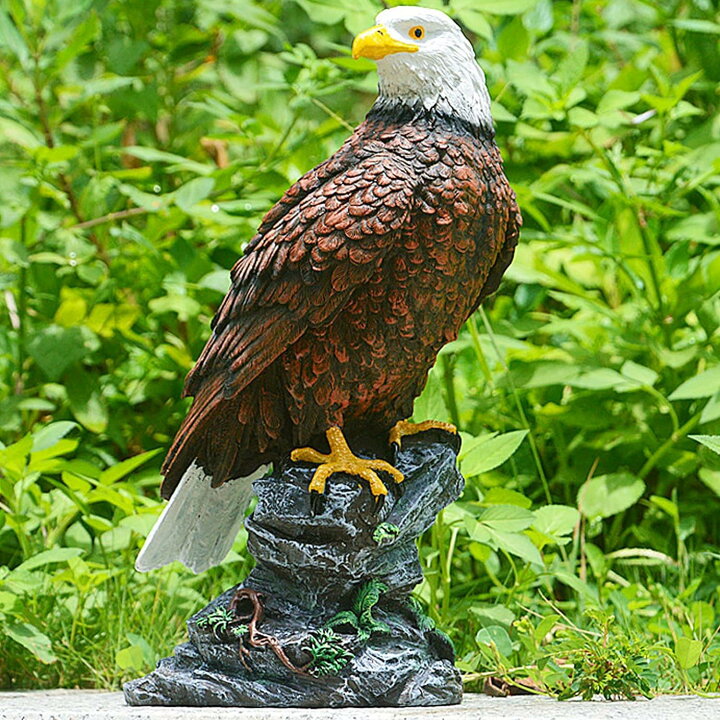 楽天市場】猛禽類 鷲 ワシ 鷹 置物 ミスターイーグル 防鳥 害鳥 庭の 