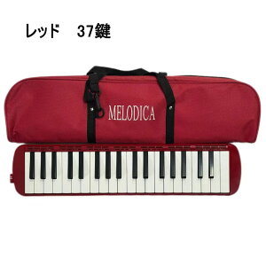 y5Fz37 Ճn[jJ 32 V[Ȃ 32 wZ ct wZ y  v[g sAjJ z[X  32Ճn[jJ tppCv tpz[X tp y w 