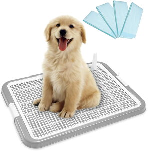 ybg pgC^ gCChg[jO}bgt[ƌpgC{bNX/OTCY ( O[)