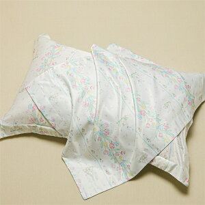 ⊴ Jo[ 48×74cm Ђ VN   炩 􂦂 Gx[v X^_[hTCY ƒp ʋC z   jp