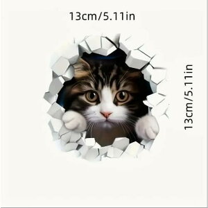 3D LN^[L̂fJ[ - rj[͂ē\ԁAוAbvgbvAXN[^[AނDXebJ[ - ȔSAg