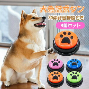 ybgp^{^ b{^ R~jP[V{^ ^{^ 30b̘^ p^{^ p̋L^\ȃ{^ ^Đ L^\