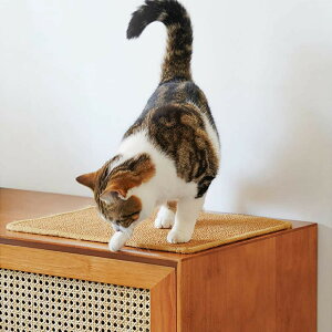 L܂Ƃ ߂Ƃ ܌}bg VRTCU x ϋv L炵t Ƌی \t@ی ^sP XgX Lpi 40*60cm