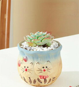 Ƌ̏蕨 A  Aؔ | A 񂹐A 킢 v`IAVX