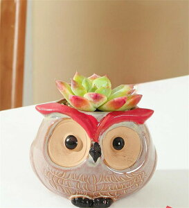 Ƌ̏蕨 A  Aؔ | A 񂹐A 킢 v`IAVX