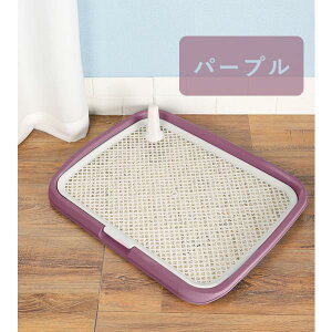  gC gC gCg[jO g[ ybgV[c ybggC 􂦂  ybg p 􂦂 gC