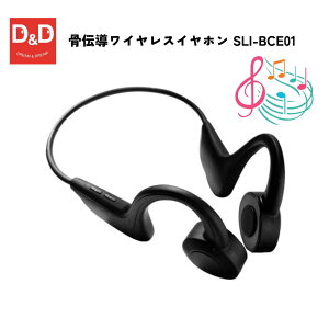 ���`�����C�����X�C���z�� SLI-BCE01�@�C���z�� ���C�����X�C���z�� �y�� �l�b�N�o���h��