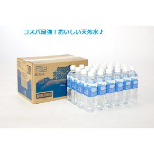 \[Pro ̓VR 500mlx24{ R ybg{g  ~lEH[^[ i` ybg{g