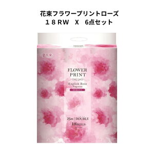 ەx ԑ t[vg[Y18[_uX6Zbg@gCbgy[p[ ܂Ƃߔ t[vg _u gCbgy[p[ _u^Cv 12[ gCpi CO