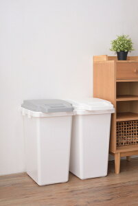 SIAA𖞂mȍR͓ۗ{@Rۃy[yhLz@33LJ[2FWJiO[EzCgj