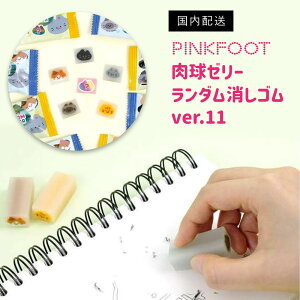 [[_Sver.11 L S ؍  SNSf PINKFOOT sNtbg v[g ؍G݁@q@Vw@@w@j@j̎q@̎q@ii@j@Əj