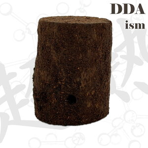 ChOfBXIIN 1Zbg22̗сyDDAzwnxoCIY ,sv dda NK^ Y oNeA