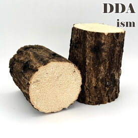 SNS等でも話題の産卵材！【DDA】すこぶり工房 SB材(スコブリ材) dda クワガタ 産卵木