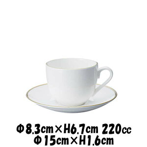 Ve pR[q[qVe 15cm\[T[@S[hdグ@ɂd@R[q[Jbv\[T[Zbg@JtFH@펥@ȋƖpH