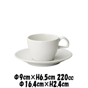 |`F ۃR[q[Jbv|`F ۃAJ\[T[@@R[q[Jbv\[T[Zbg@JtFH@펥@ȋƖpH