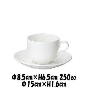 Ve pR[q[q&Ve 15cm\[T[@@ɂd@R[q[Jbv\[T[Zbg@JtFH@펥@ȋƖpH