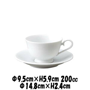 }X^pJbv15cm\[T[@@R[q[Jbv\[T[Zbg@JtFH@펥@ȋƖpH
