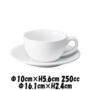 BISTRO@250ccX[vJbv16cm\[T[@@R[q[Jbv\[T[Zbg@JtFH@펥@ȋƖpH