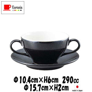 Eurasia@e@uCJbve@p\[T[@@X[vJbv\[T[Zbg@펥@ȋƖpH