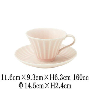 ݁@@R[q[Jbv14.5cmێM@Jbv\[T[Zbg@{@Y@JtFH@ȋƖpH@aH