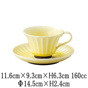 ݁@@R[q[Jbv14.5cmێM@Jbv\[T[Zbg@{@Y@JtFH@ȋƖpH@aH