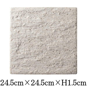 e@Δp25cm@펥̐H@ȋƖpaH@MMM