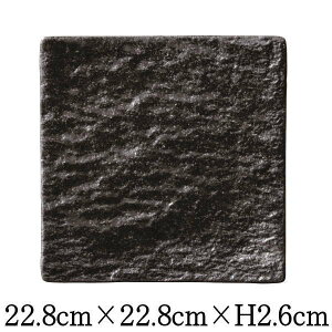 Petora@yg@23cmpM@j@{@Y@XNGAv[g@ȋƖpaH@MMM