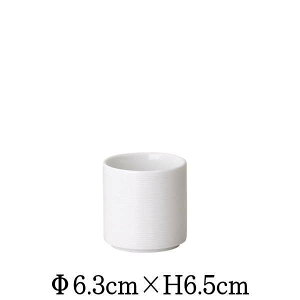 TUBE(W) Jbv@@XeBbNVK[ăVK[|bg@JtFH@펥@ȋƖpH