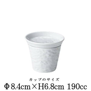 Petora@yg@Β򖡎MiWj̃Zbg@\o`NLLX10cmM@@Β@΂傱@{@Y@ȋƖpH@펥@MM[M