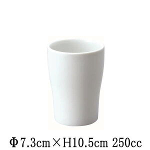 Xp[^@Jbv@Rbv@t[Jbv@펥̐H@ȋƖpmH