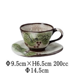 ԂǂqԂǂC/S@R[q[Jbv\[T[Zbg@{@Y@JtFH@ȋƖpH@aH