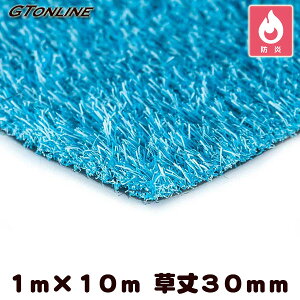 _{P2{^ J[lH N[o[^[t J[^Cv u[ 1m×10m 30mm ( vdl hK )
