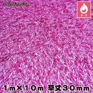 _{Gg[P2{^ J[lH N[o[^[t J[^Cv sN 1m×10m 30mm ( vdl hK )