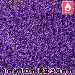 J[lH N[o[^[t J[^Cv p[v 1m×10m 30mm ( vdl hK )